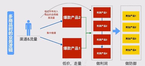 產(chǎn)品演化與用戶共生 信息系統(tǒng)集成服務(wù)中的用戶運(yùn)營體系構(gòu)建與管理